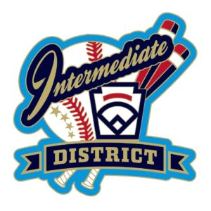 district intermediate baseball pin