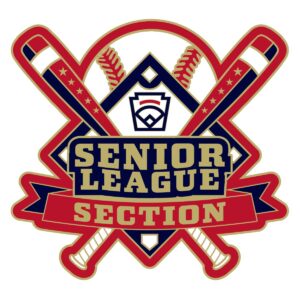 section senior league baseball pin