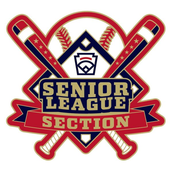 section senior league baseball pin